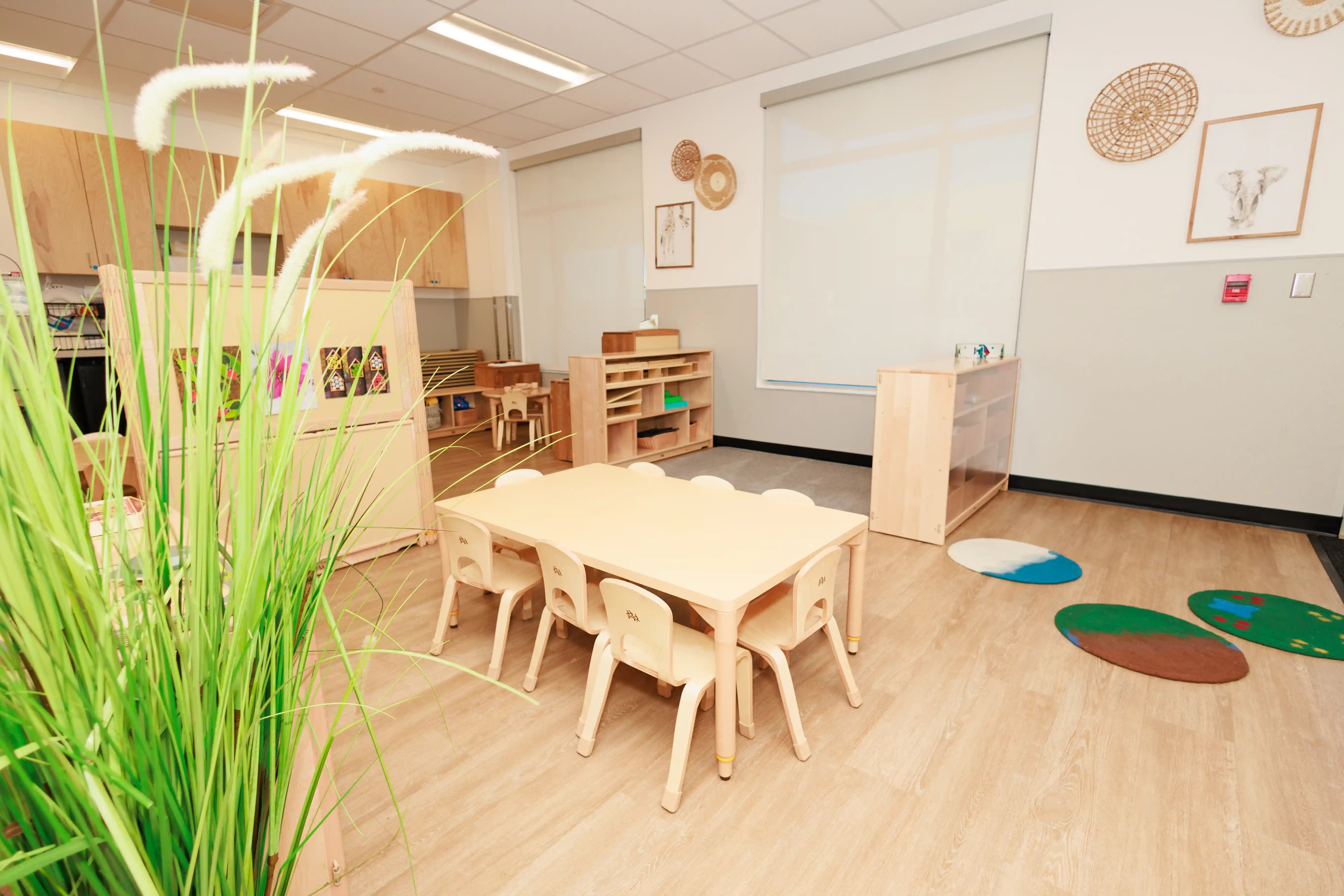 STEM, literacy, and creative arts education at Busy Bees Palm Valley, tailored to each child’s developmental stage.