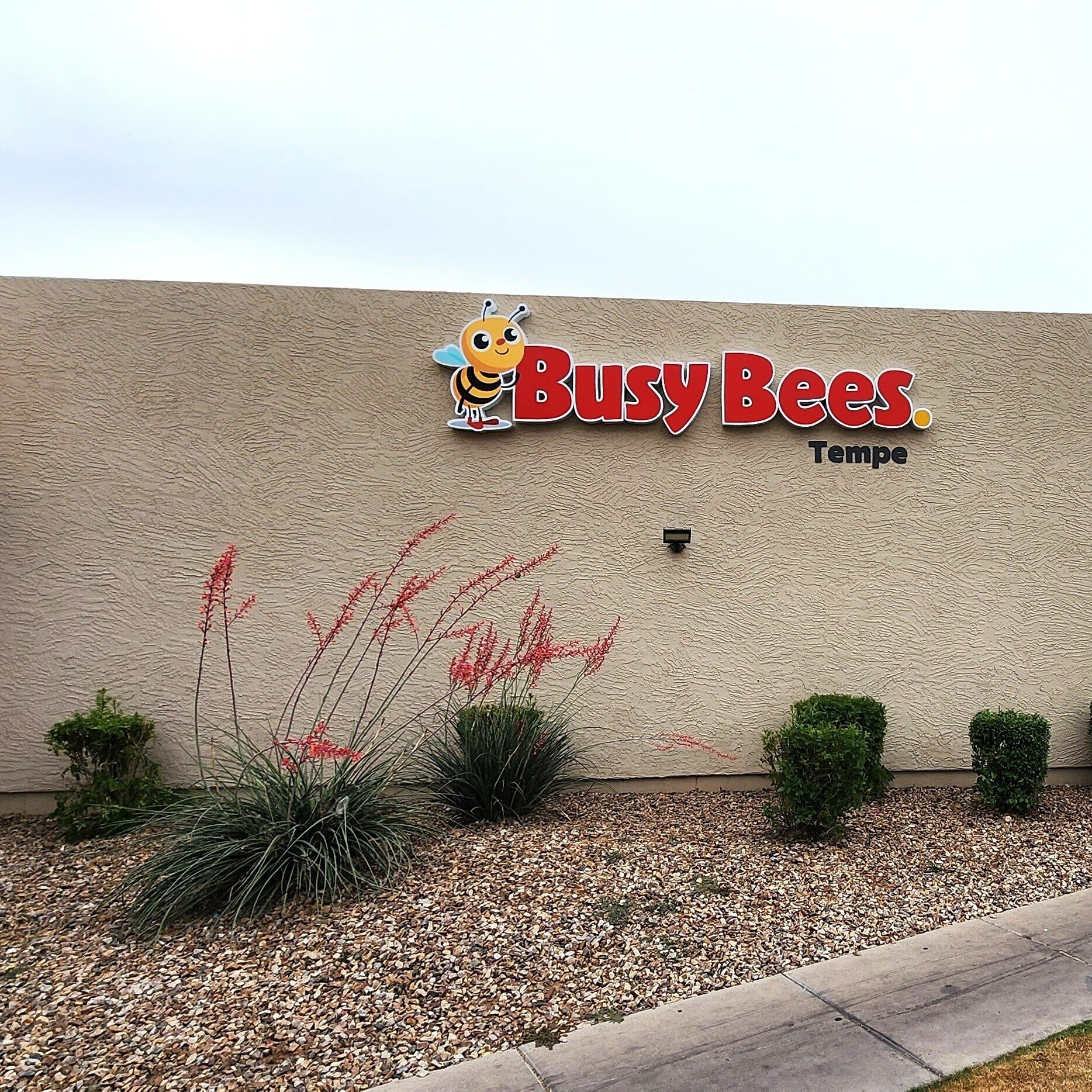 Busy Bees Tempe