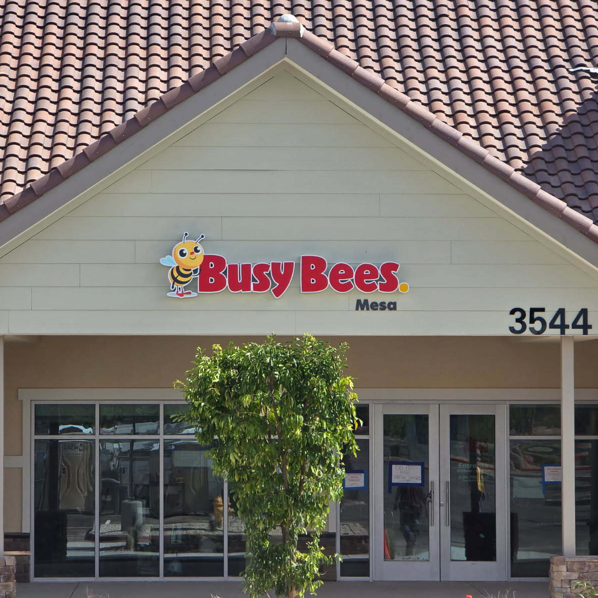 busy-bees-mesa-square
