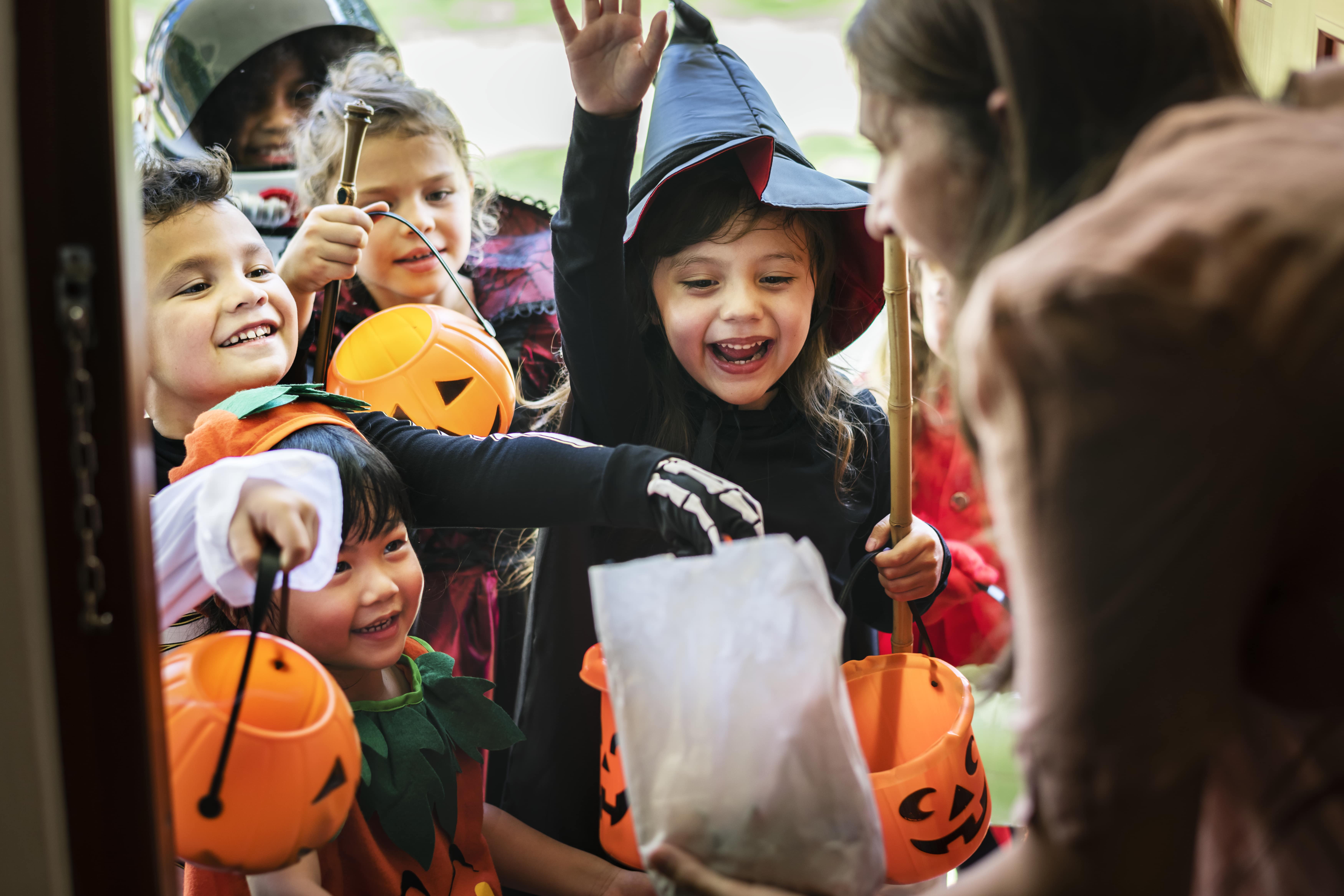 A group of toddlers dressed in costumes and trick-or-treating for the first time. 